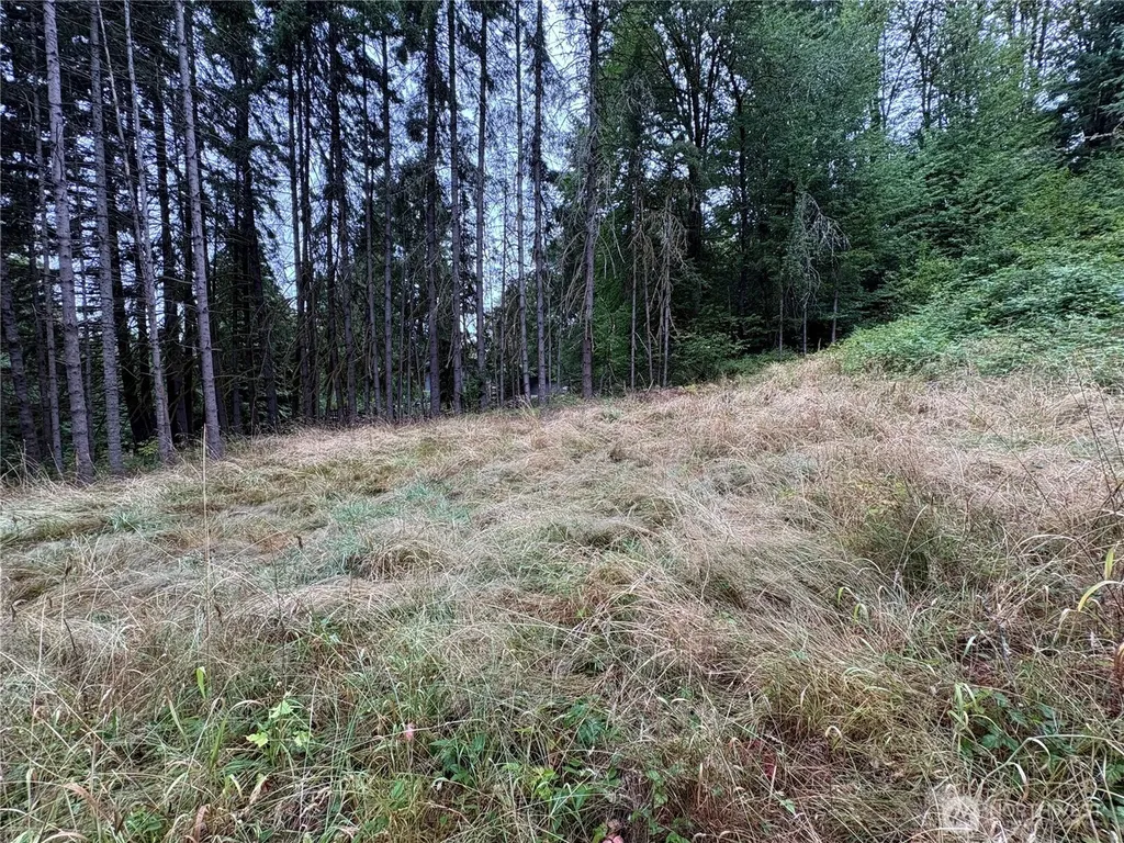 0 SE Rose Street Winlock WA 98596