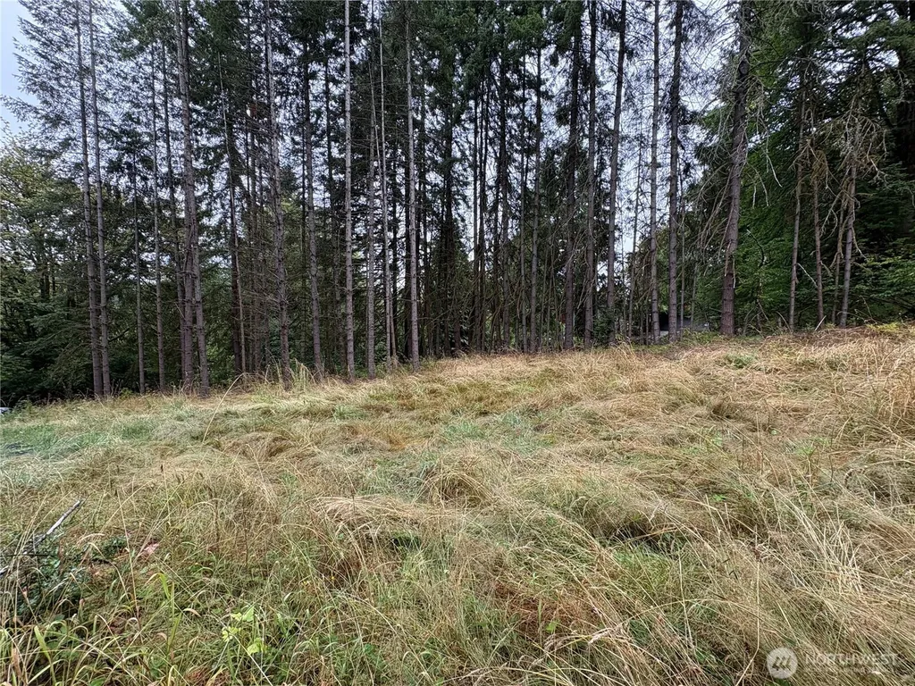 0 SE Rose Street Winlock WA 98596