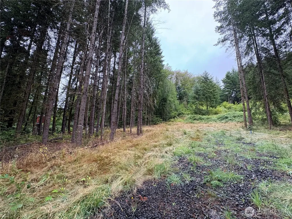 0 SE Rose Street Winlock WA 98596