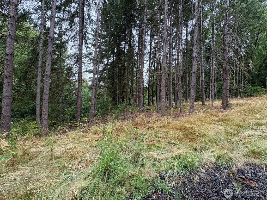 0 SE Rose Street Winlock WA 98596