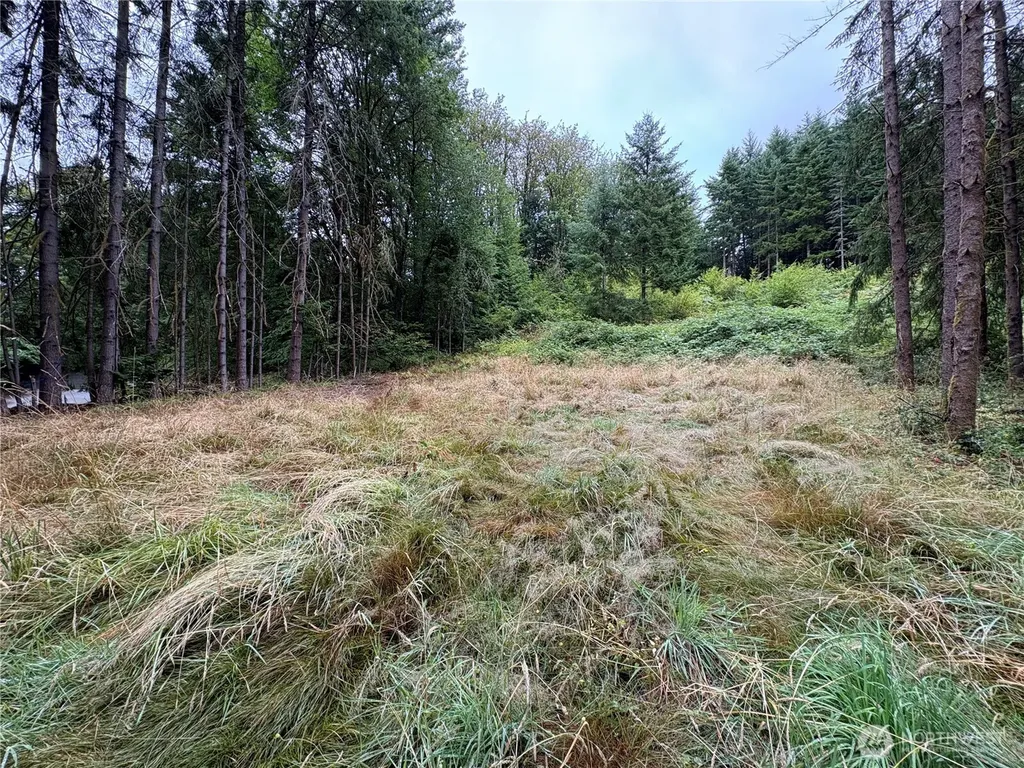0 SE Rose Street Winlock WA 98596