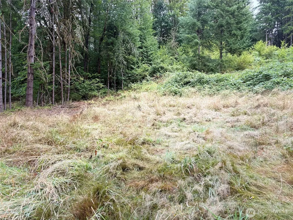 0 SE Rose Street Winlock WA 98596