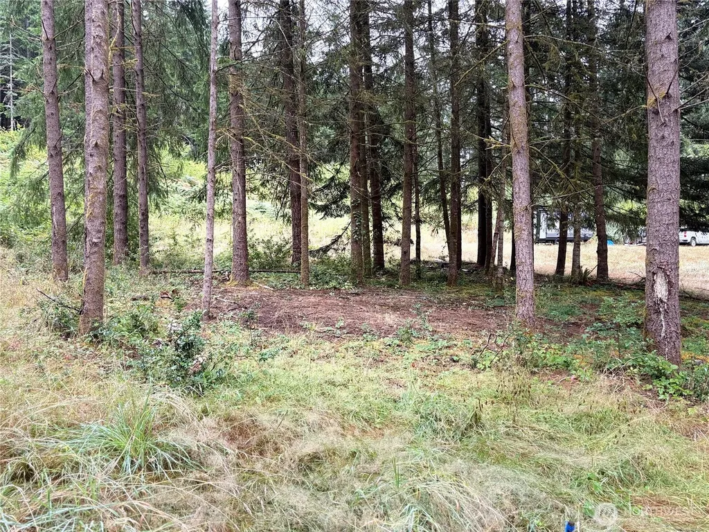 0 SE Rose Street Winlock WA 98596