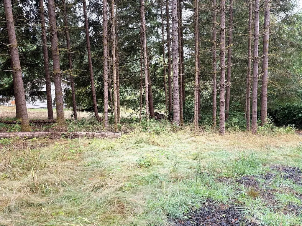 0 SE Rose Street Winlock WA 98596