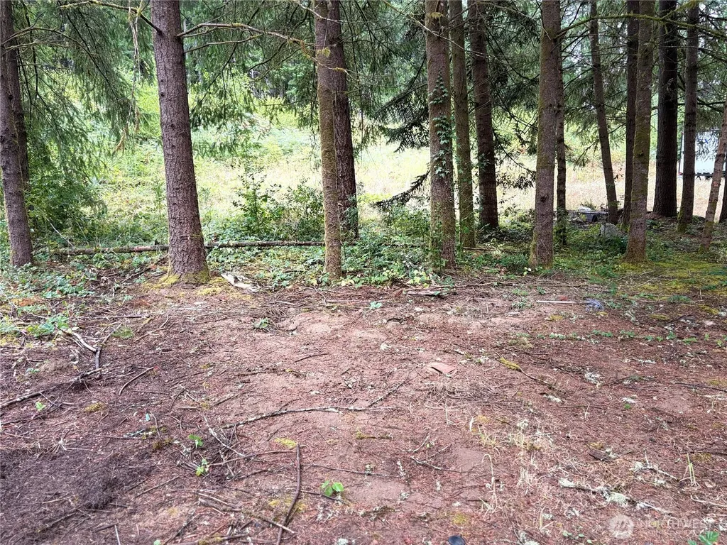 0 SE Rose Street Winlock WA 98596