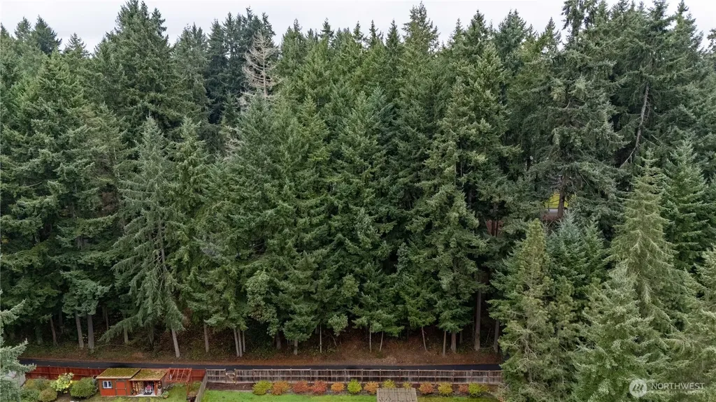 6943 20th Avenue E Lacey WA 98503