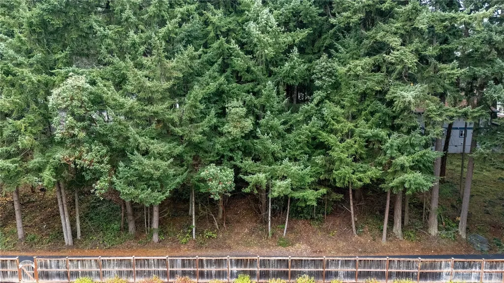 6943 20th Avenue E Lacey WA 98503