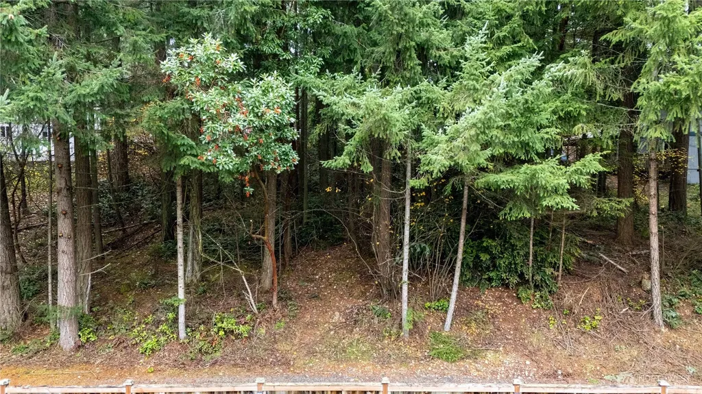 6943 20th Avenue E Lacey WA 98503