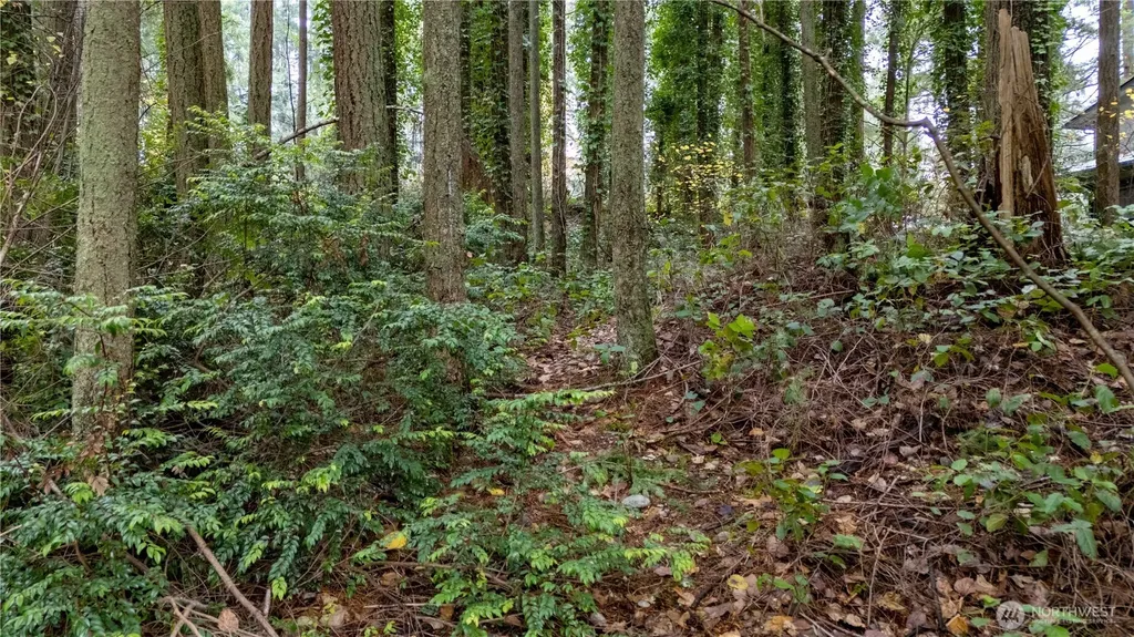6943 20th Avenue E Lacey WA 98503