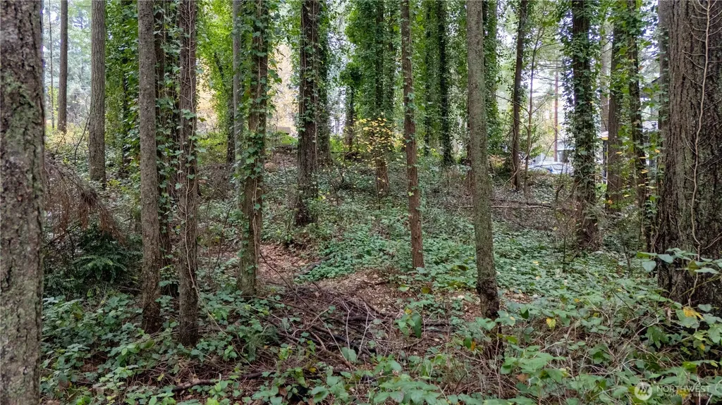6943 20th Avenue E Lacey WA 98503