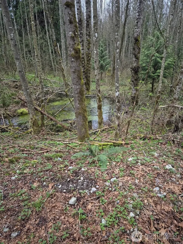 2046 Burk Road Blaine WA 98230