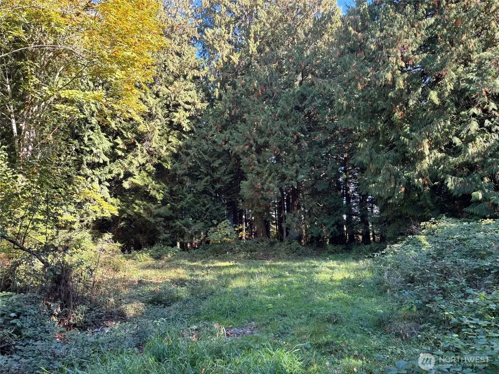 2046 Burk Road Blaine WA 98230