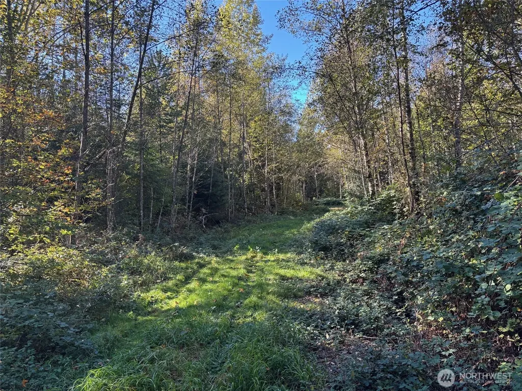 2046 Burk Road Blaine WA 98230