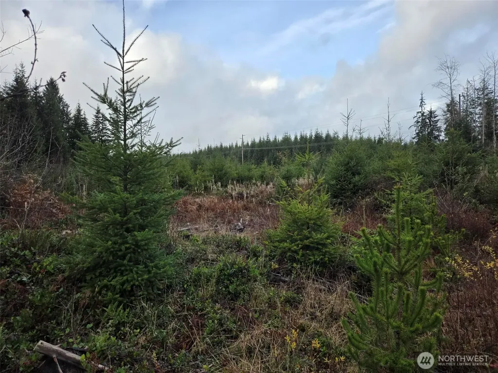 0 Bowes Road N Hoquiam WA 98550