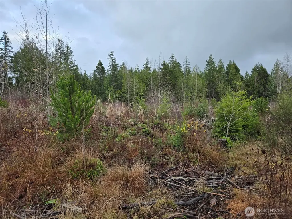 0 Bowes Road N Hoquiam WA 98550