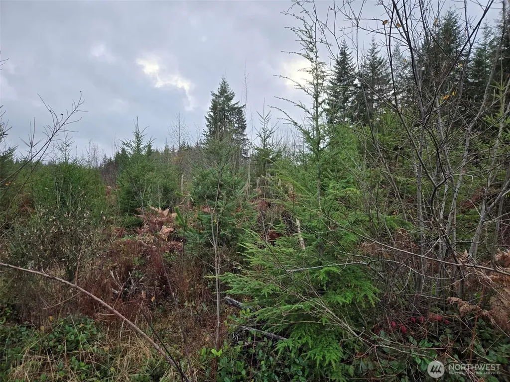 0 Bowes Road N Hoquiam WA 98550