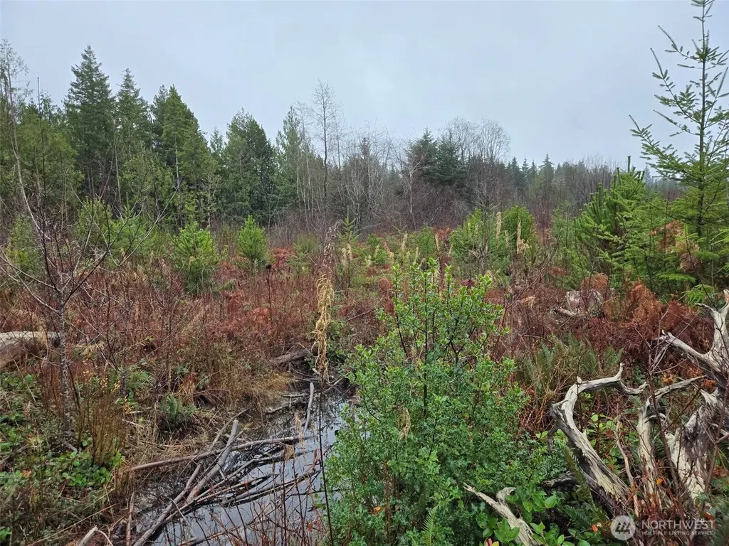 0 Bowes Road N Hoquiam WA 98550