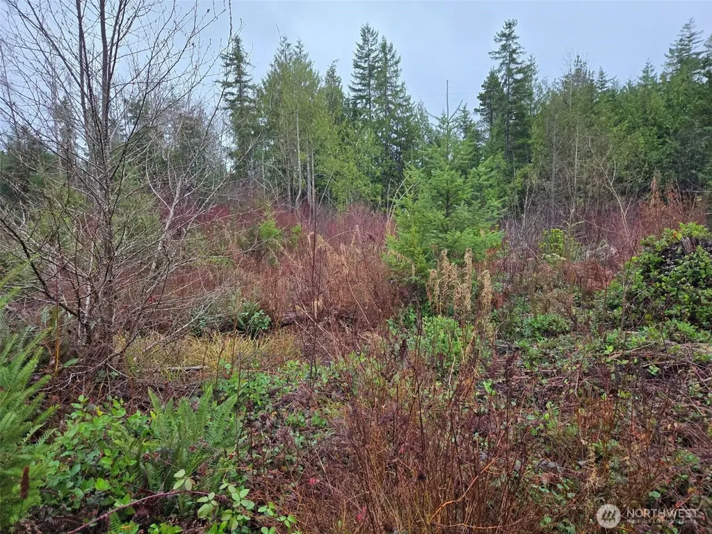 0 Bowes Road N Hoquiam WA 98550