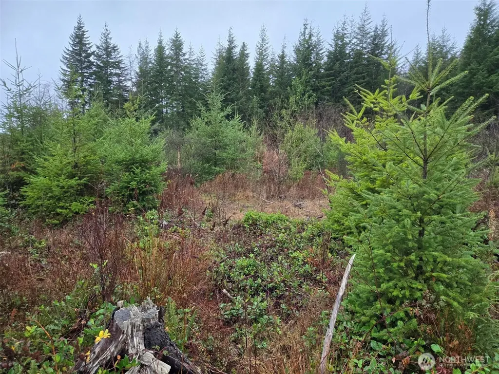 0 Bowes Road N Hoquiam WA 98550