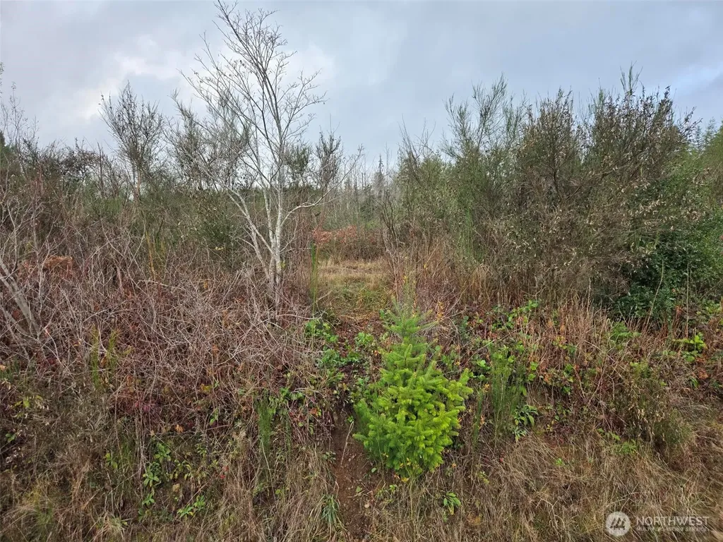 0 Bowes Road N Hoquiam WA 98550