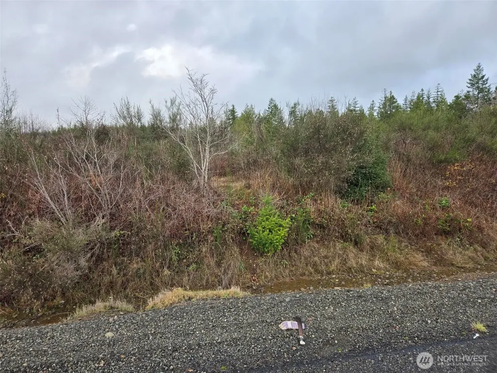 0 Bowes Road N Hoquiam WA 98550