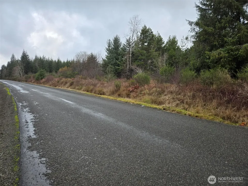 0 Bowes Road N Hoquiam WA 98550