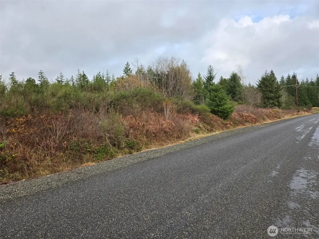 0 Bowes Road N Hoquiam WA 98550