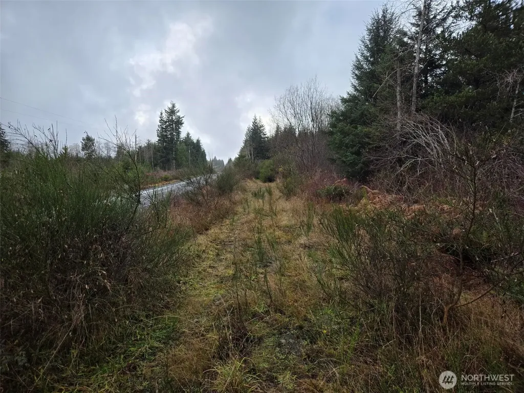 0 Bowes Road N Hoquiam WA 98550
