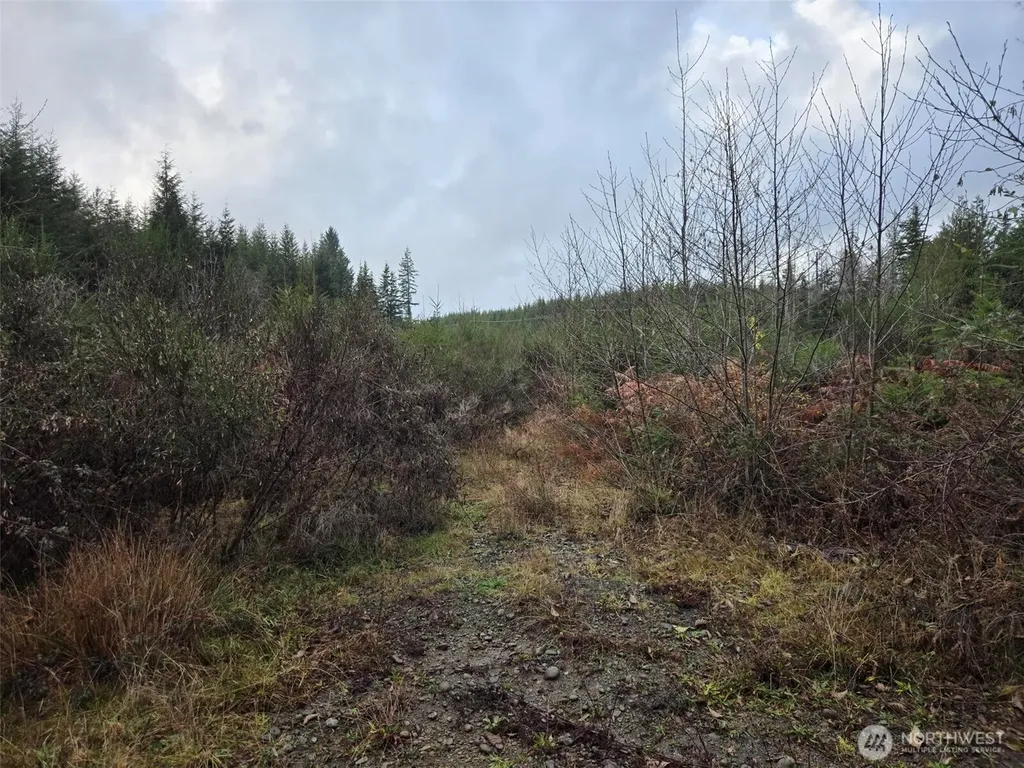 0 Bowes Road N Hoquiam WA 98550