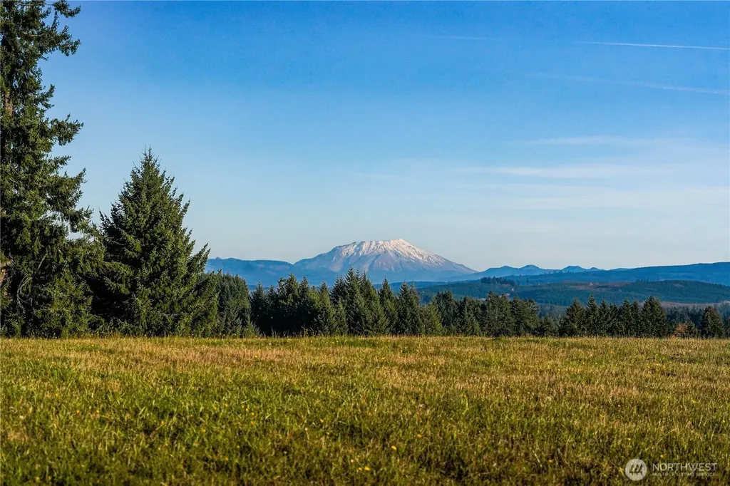 161 Cooper Hill Court Castle Rock WA 98611