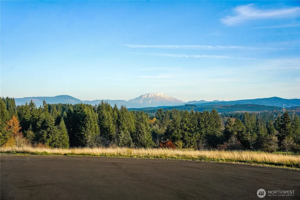 161 Cooper Hill Court Castle Rock WA 98611