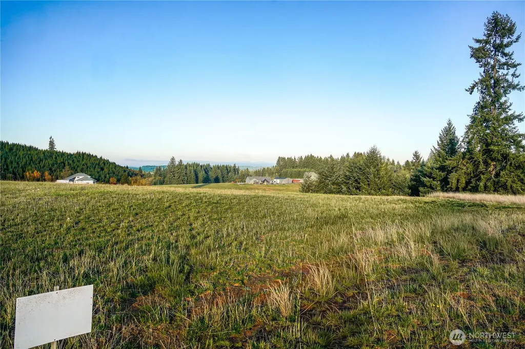 161 Cooper Hill Court Castle Rock WA 98611