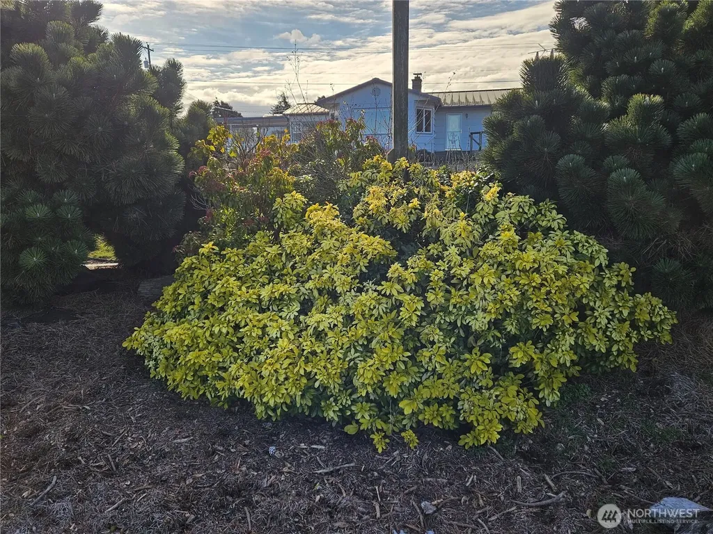52 Libby Street Sequim WA 98382