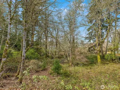 0 Devenny Avenue NE Bainbridge Island WA 98110
