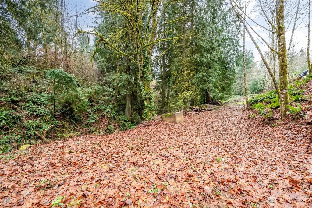 292 Woodside Drive Longview WA 98632