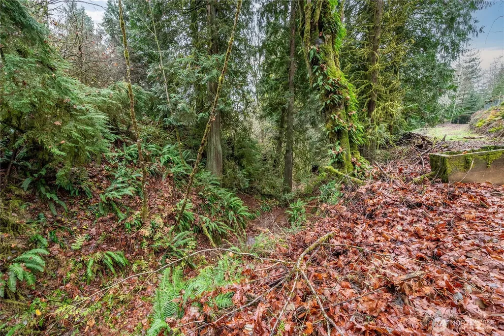 292 Woodside Drive Longview WA 98632