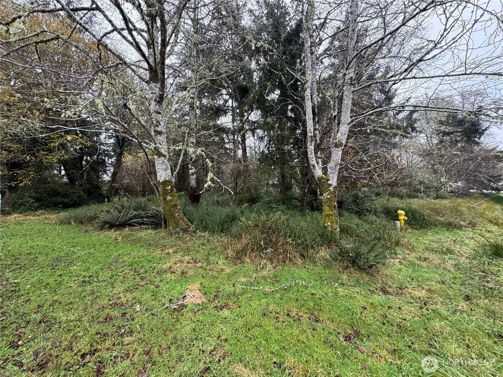 764 Tern Court Ocean Shores WA 98569