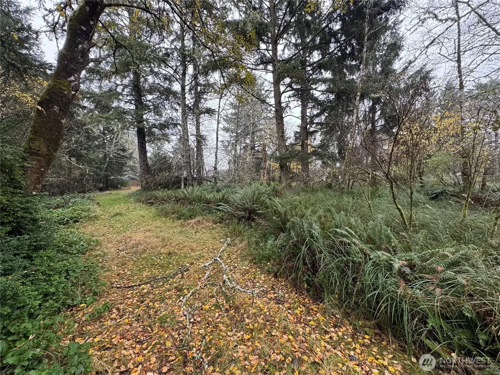 764 Tern Court Ocean Shores WA 98569