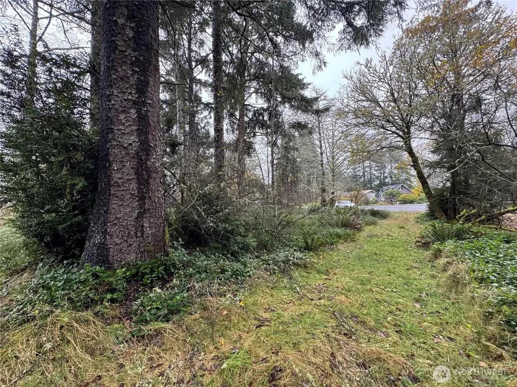 764 Tern Court Ocean Shores WA 98569