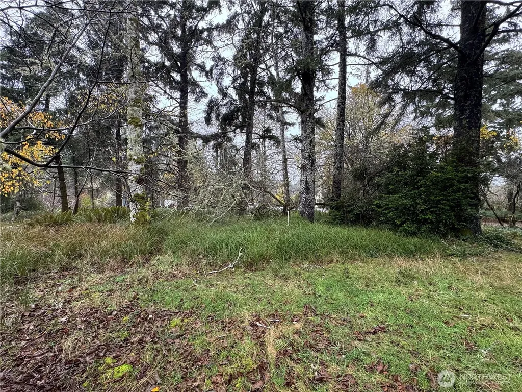 764 Tern Court Ocean Shores WA 98569