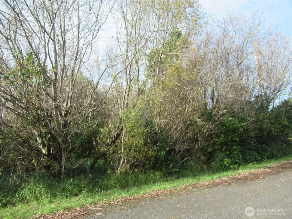 12 Driftwood Drive Ocean Shores WA 98569
