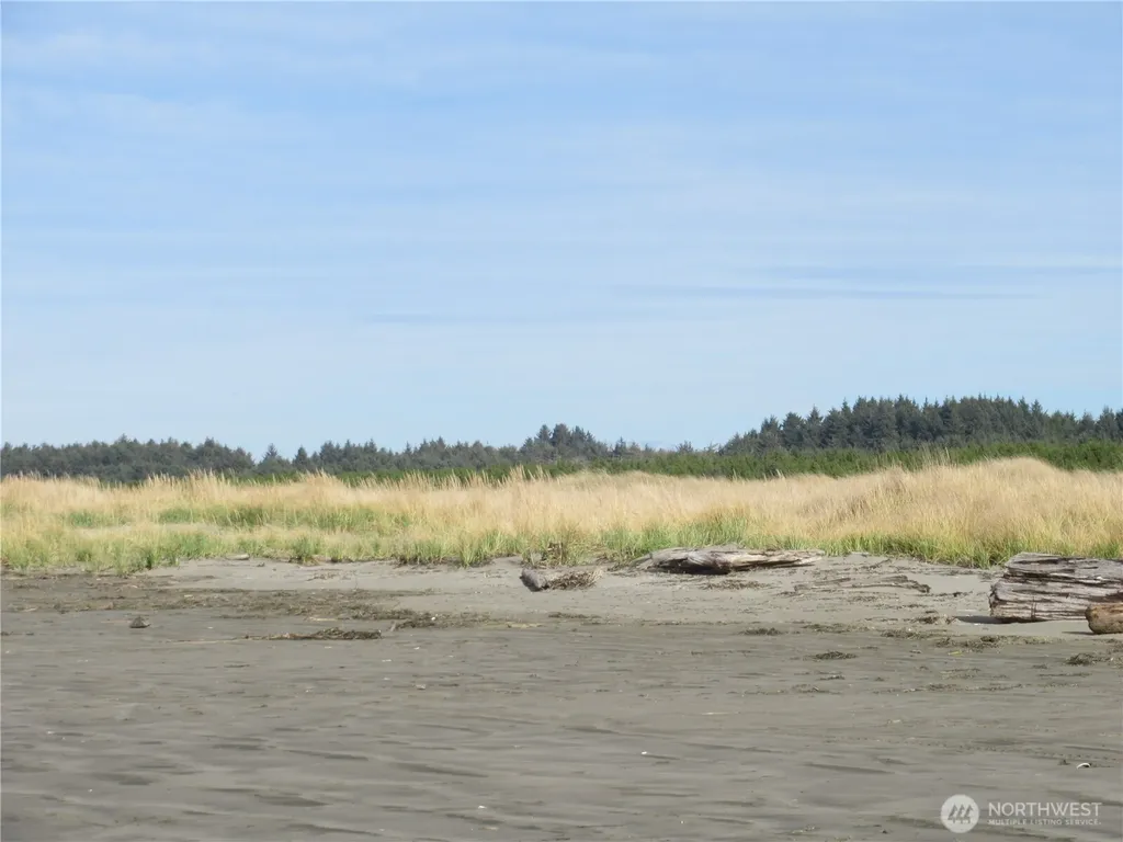 12 Driftwood Drive Ocean Shores WA 98569