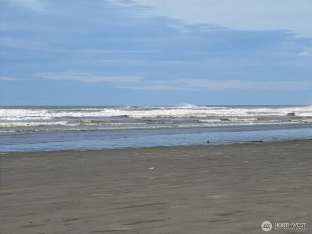 12 Driftwood Drive Ocean Shores WA 98569