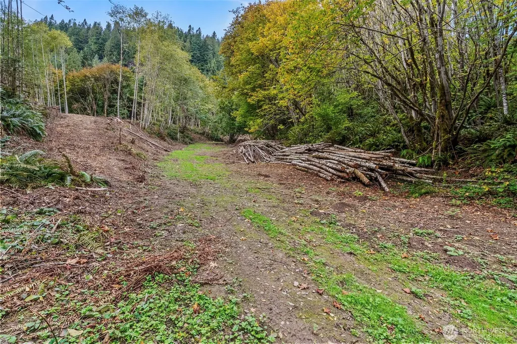 0 E State Route 4 Cathlamet WA 98612