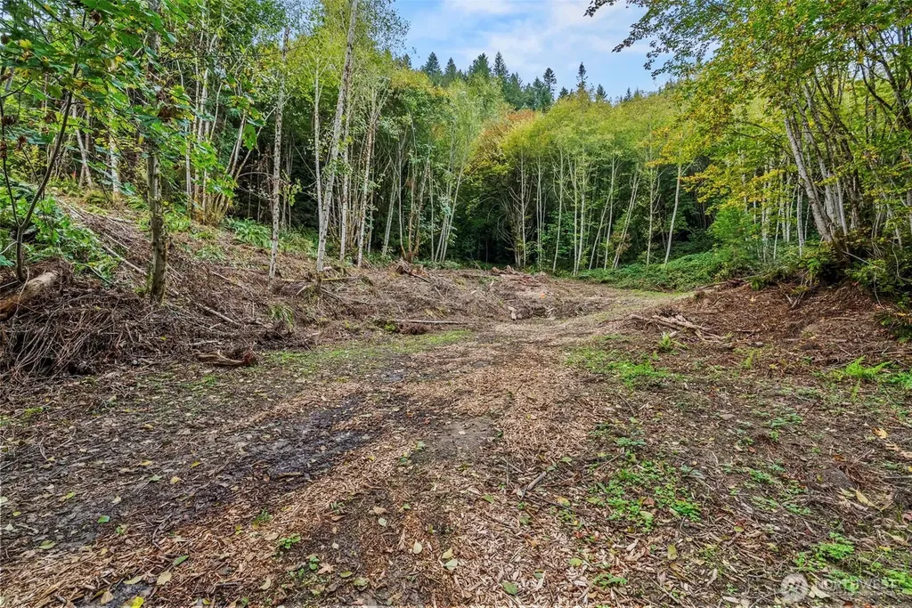 0 E State Route 4 Cathlamet WA 98612