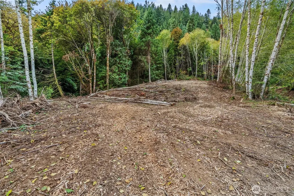 0 E State Route 4 Cathlamet WA 98612