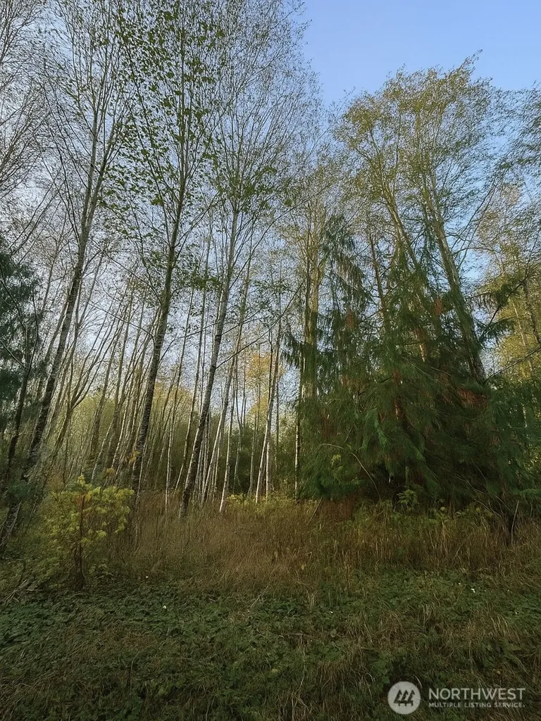 131 Chimacum Drive Elma WA 98541