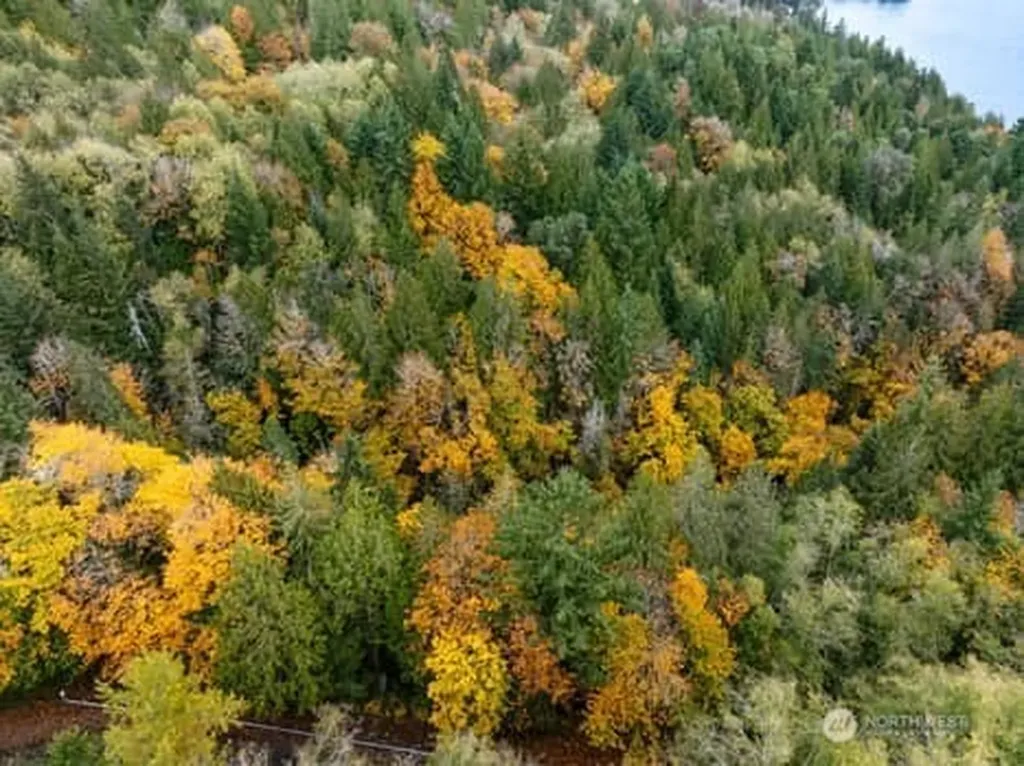 0 Us Highway 101 Lilliwaup WA 98555