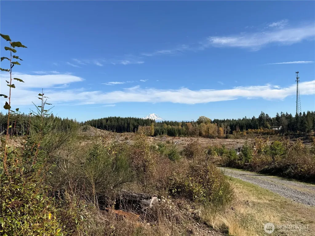 132 Algyer Road SE Rainier WA 98576