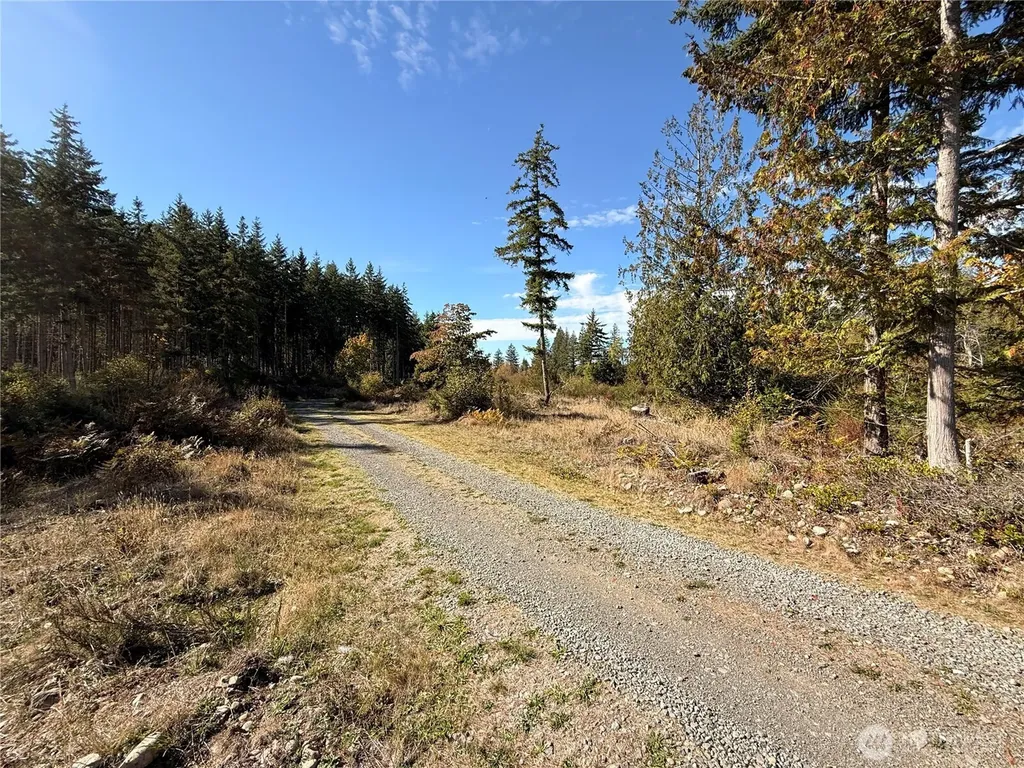 132 Algyer Road SE Rainier WA 98576